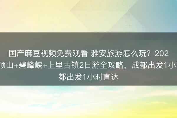 国产麻豆视频免费观看 雅安旅游怎么玩？2026年蒙顶山+碧峰峡+上里古镇2日游全攻略，成都出发1小时直达