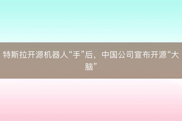 特斯拉开源机器人“手”后，中国公司宣布开源“大脑”