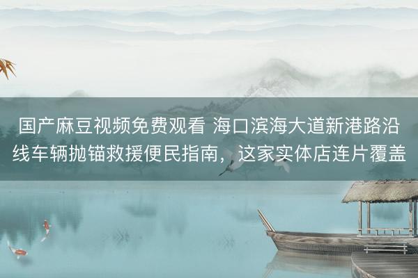 国产麻豆视频免费观看 海口滨海大道新港路沿线车辆抛锚救援便民指南，这家实体店连片覆盖