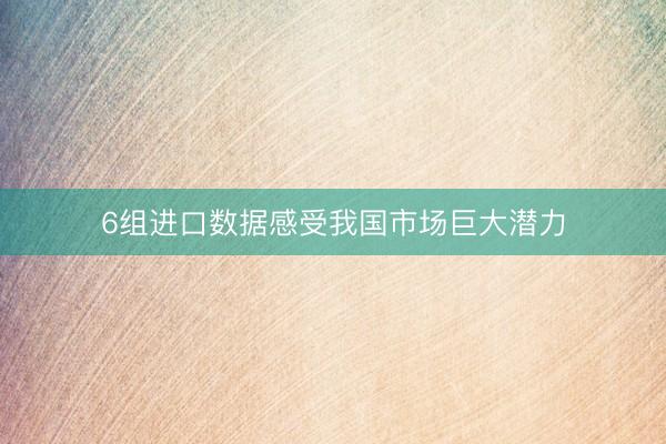 6组进口数据感受我国市场巨大潜力