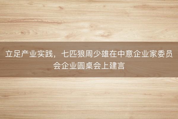 立足产业实践，七匹狼周少雄在中意企业家委员会企业圆桌会上建言