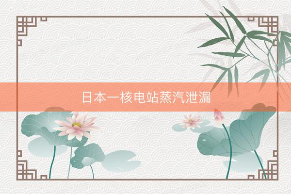 日本一核电站蒸汽泄漏