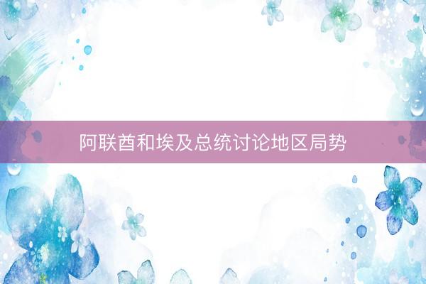 阿联酋和埃及总统讨论地区局势