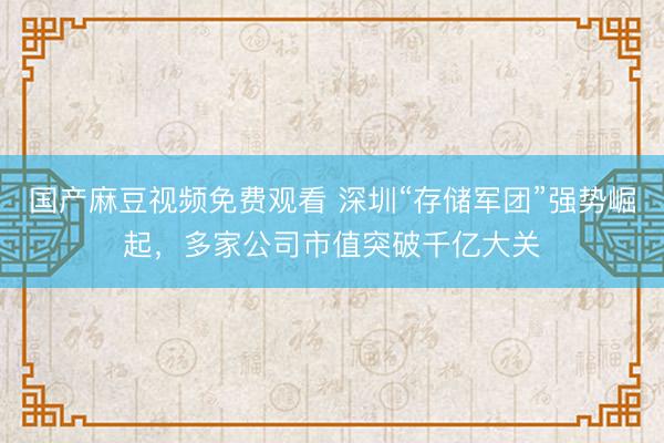国产麻豆视频免费观看 深圳“存储军团”强势崛起，多家公司市值突破千亿大关