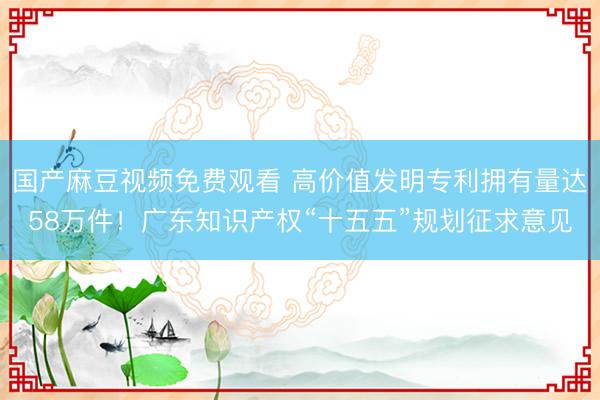 国产麻豆视频免费观看 高价值发明专利拥有量达58万件！广东知识产权“十五五”规划征求意见