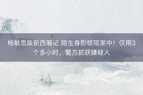 杨敏思版新西厢记 陌生身影惊现家中！仅用3个多小时，警方抓获嫌疑人