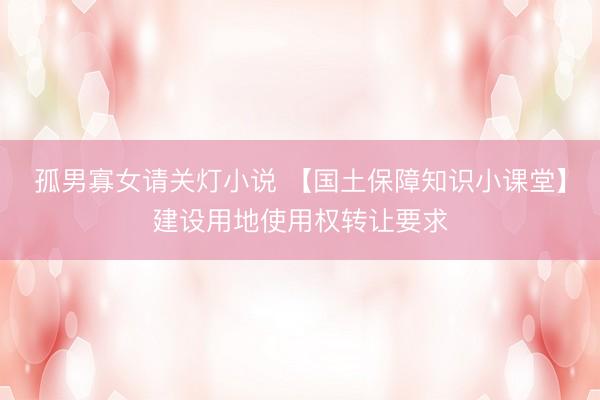 孤男寡女请关灯小说 【国土保障知识小课堂】建设用地使用权转让要求