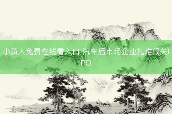 小黄人免费在线看入口 汽车后市场企业扎堆闯关IPO