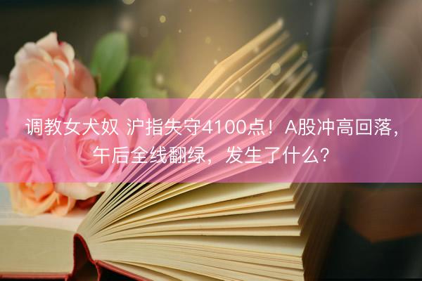 调教女犬奴 沪指失守4100点！A股冲高回落，午后全线翻绿，发生了什么？