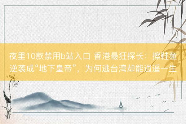 夜里10款禁用b站入口 香港最狂探长：擦鞋童逆袭成“地下皇帝”，为何逃台湾却能逍遥一生