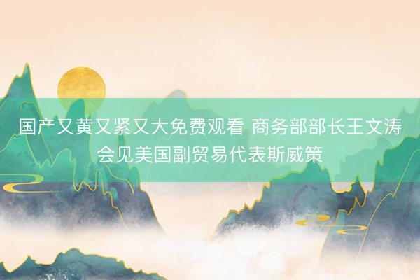 国产又黄又紧又大免费观看 商务部部长王文涛会见美国副贸易代表斯威策