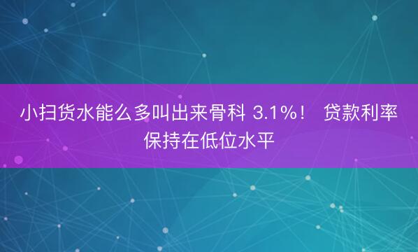 小扫货水能么多叫出来骨科 3.1%！ 贷款利率保持在低位水平