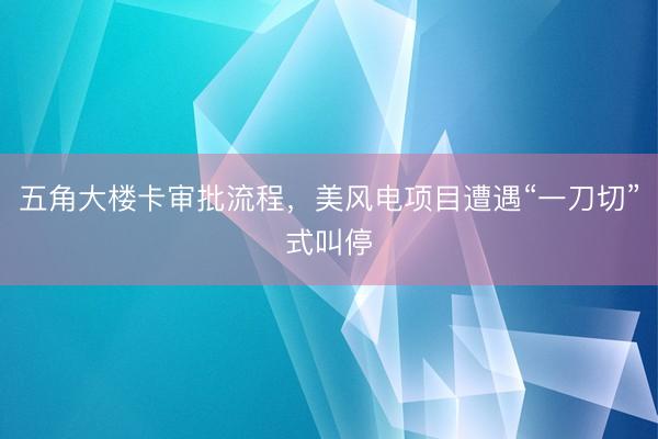 五角大楼卡审批流程，美风电项目遭遇“一刀切”式叫停