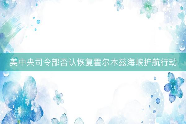 美中央司令部否认恢复霍尔木兹海峡护航行动