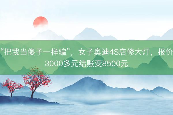 “把我当傻子一样骗”，女子奥迪4S店修大灯，报价3000多元结账变8500元