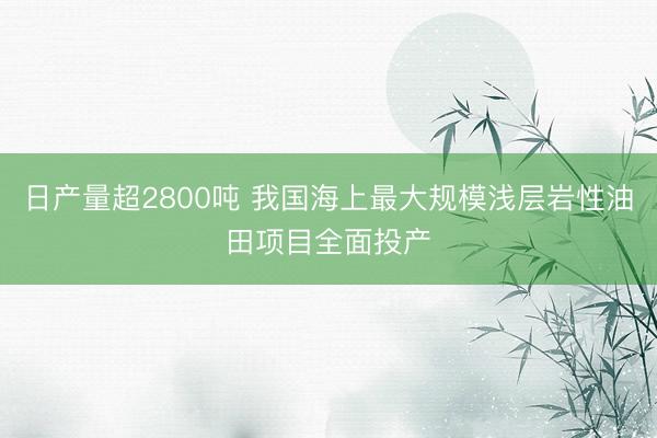 日产量超2800吨 我国海上最大规模浅层岩性油田项目全面投产
