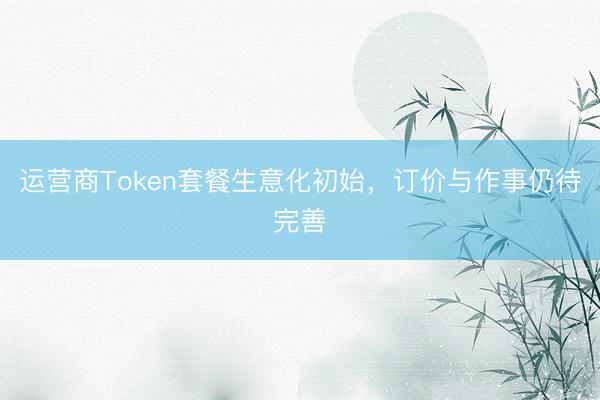 运营商Token套餐生意化初始，订价与作事仍待完善