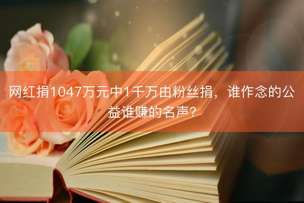 网红捐1047万元中1千万由粉丝捐，谁作念的公益谁赚的名声？