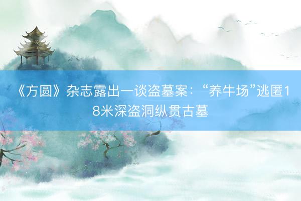 《方圆》杂志露出一谈盗墓案：“养牛场”逃匿18米深盗洞纵贯古墓