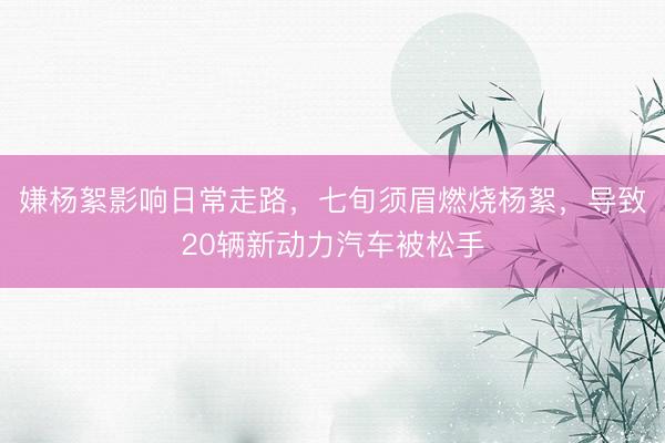 嫌杨絮影响日常走路，七旬须眉燃烧杨絮，导致20辆新动力汽车被松手