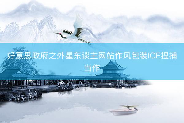好意思政府之外星东谈主网站作风包装ICE捏捕当作