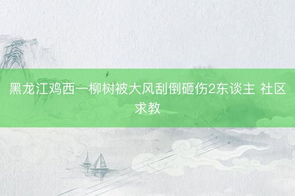 黑龙江鸡西一柳树被大风刮倒砸伤2东谈主 社区求教