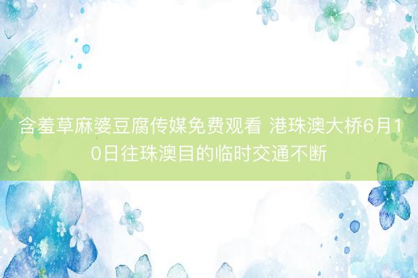 含羞草麻婆豆腐传媒免费观看 港珠澳大桥6月10日往珠澳目的临时交通不断