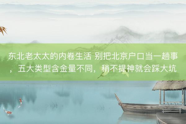 东北老太太的内卷生活 别把北京户口当一趟事，五大类型含金量不同，稍不提神就会踩大坑