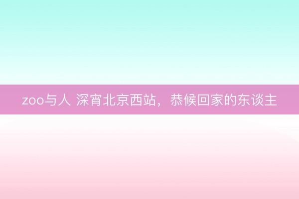 zoo与人 深宵北京西站，恭候回家的东谈主