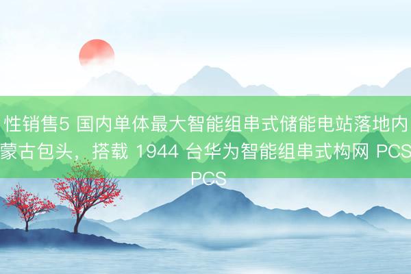 性销售5 国内单体最大智能组串式储能电站落地内蒙古包头,搭载 1944 台华为智能组串式构网 PCS