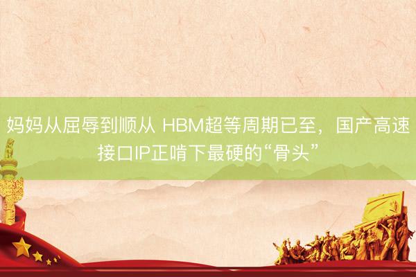 妈妈从屈辱到顺从 HBM超等周期已至，国产高速接口IP正啃下最硬的“骨头”