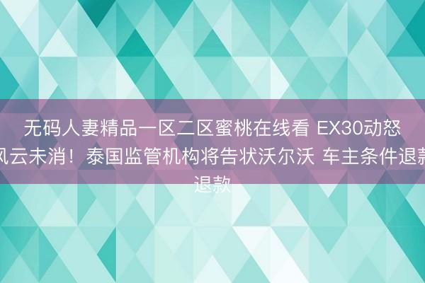 无码人妻精品一区二区蜜桃在线看 EX30动怒风云未消！泰国监管机构将告状沃尔沃 车主条件退款