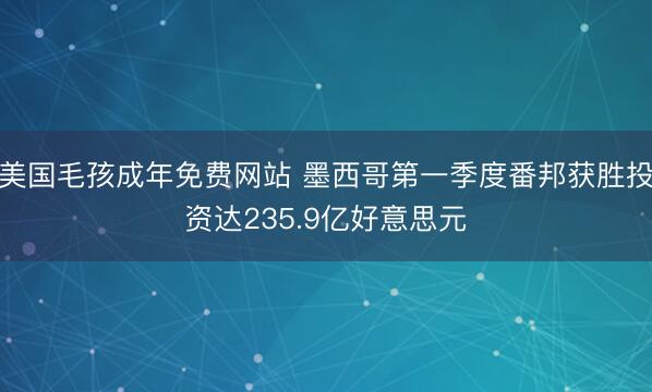 美国毛孩成年免费网站 墨西哥第一季度番邦获胜投资达235.9亿好意思元