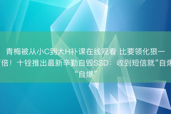 青梅被从小C到大H补课在线观看 比要领化狠一万倍！十铨推出最新辛勤自毁SSD：收到短信就“自爆”
