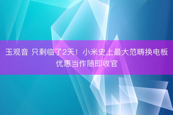 玉观音 只剩临了2天！小米史上最大范畴换电板优惠当作随即收官