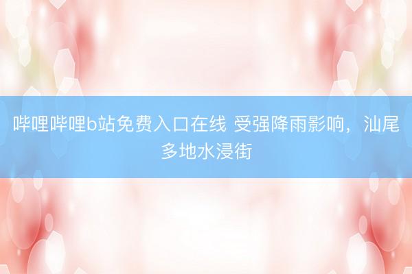 哔哩哔哩b站免费入口在线 受强降雨影响，汕尾多地水浸街