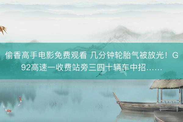 偷香高手电影免费观看 几分钟轮胎气被放光!G92高速一收费站旁三四十辆车中招……