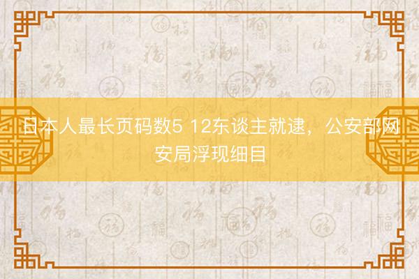 日本人最长页码数5 12东谈主就逮，公安部网安局浮现细目