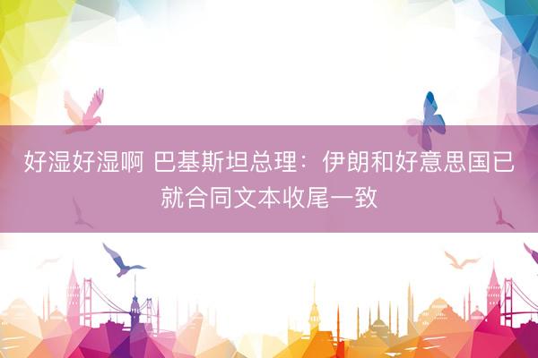 好湿好湿啊 巴基斯坦总理：伊朗和好意思国已就合同文本收尾一致