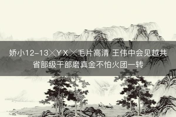 娇小12-13╳YⅩ╳毛片高清 王伟中会见越共省部级干部磨真金不怕火团一转