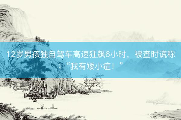 12岁男孩独自驾车高速狂飙6小时，被查时谎称：“我有矮小症！”
