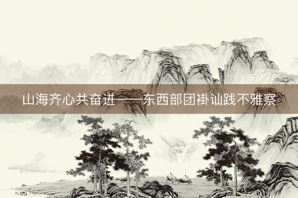山海齐心共奋进——东西部团褂讪践不雅察