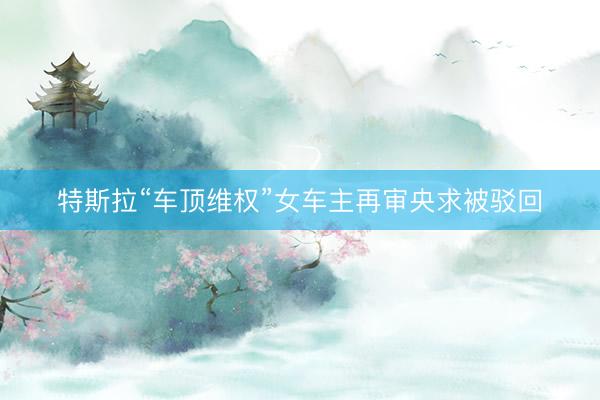 特斯拉“车顶维权”女车主再审央求被驳回