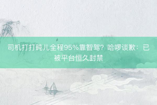 司机打打盹儿全程95%靠智驾？哈啰谈歉：已被平台恒久封禁