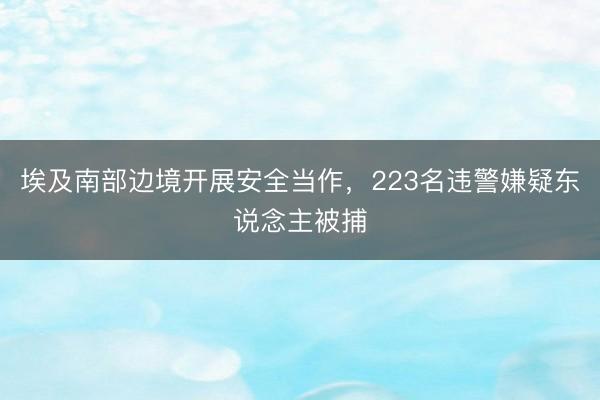 埃及南部边境开展安全当作，223名违警嫌疑东说念主被捕